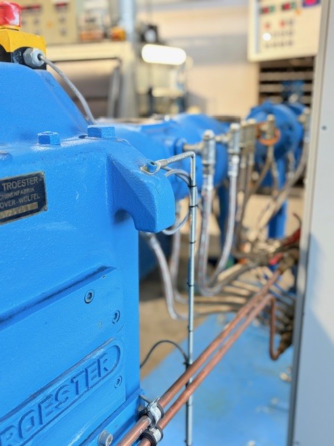 troester 2